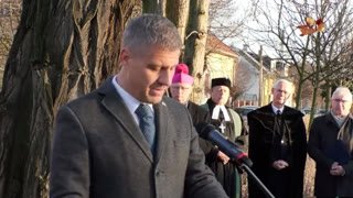 Watch 16TV live online