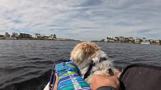 Watch 30A Investment Pitch live online