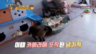 Watch ABN TV live online