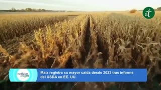 Watch Agrotendencia TV live online