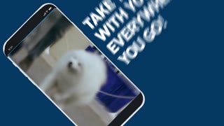 Watch AKC TV live online