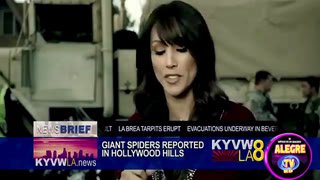 Watch Alegre TV RD live online