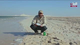 Watch Al Rayyan live online