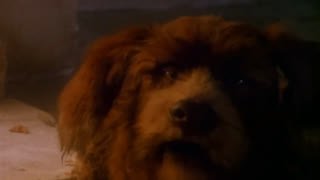 Watch Antena SUR live online