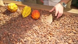 Watch Aristo TV live online