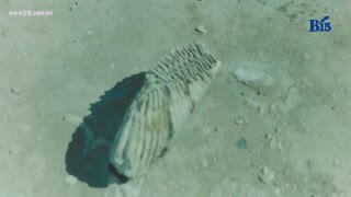 Watch B15 Fresnillo live online