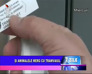 Watch Banat TV live online