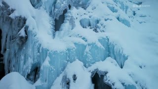 Watch BBC Earth Asia live online