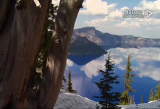 Watch Better Life Nature Channel live online