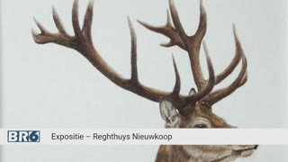 Watch BR6 TV live online