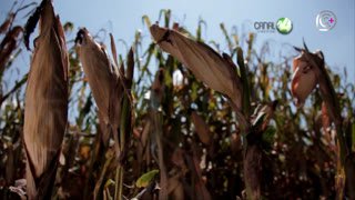 Watch Canal del Congreso 45.1 live online