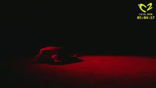 Watch Canal Dos Yopal live online