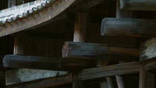 Watch CGTN Documentary live online