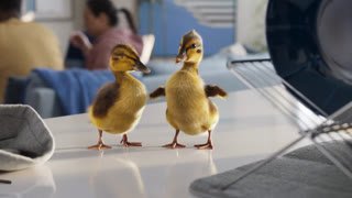 Watch Comedy Central en Español live online