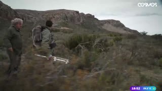 Watch Cosmos TV live online