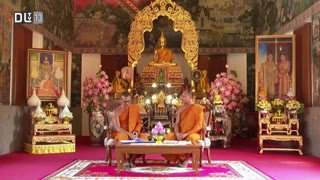 Watch DLTV 13 live online