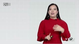 Watch DLTV 14 live online