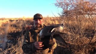 Watch Duck Hunting TV live online
