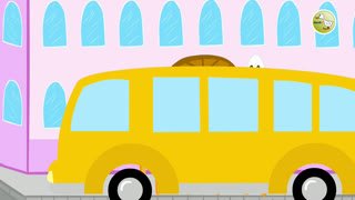 Watch ducktv live online