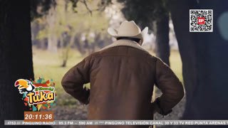 Watch El Pingüino TV live online