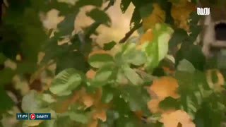 Watch Eslah TV live online