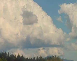 Watch Firstlight live online