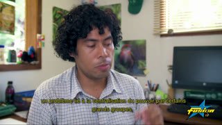 Watch FUSION TV live online