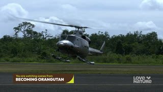 Watch Love Nature live online