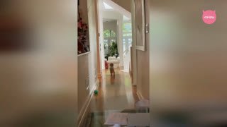 Watch Mňau TV live online