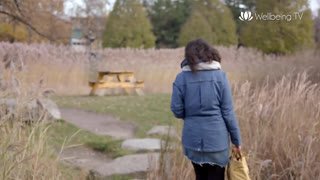 Watch MyZen TV live online