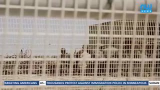 Watch NW Info 2 EN live online