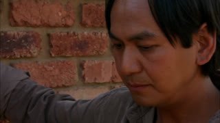 Watch Pluto TV Animaux live online