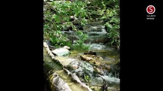 Watch StoryChannel TV live online