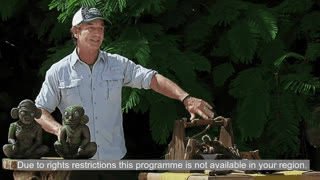 Watch TG4 live online