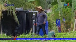 Watch TV1 live online