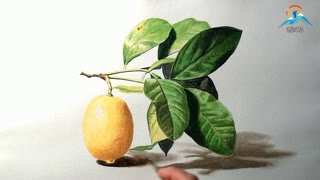 Watch TV Sayohi live online