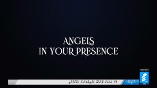 Watch VTV live online